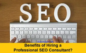 Benefits of Hiring a Professional SEO Consultant